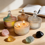 Intention Collection Bundle