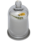 Kitchen - Lemon & Vanilla