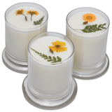 Kitchen - Lemon & Vanilla